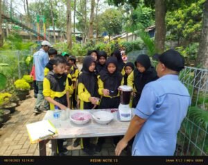 Dari Buku ke Alam: MIN 2 Sidoarjo Terapkan Pembelajaran Kontekstual di Pacet Mini Park